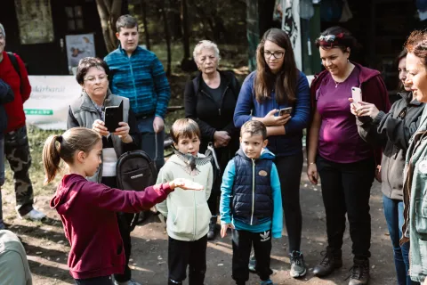 Blog - Tömördi madárvárta
