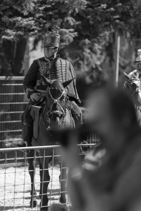 Blog - Bábolnai Gazdanapok