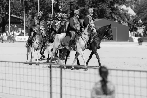 Blog - Bábolnai Gazdanapok